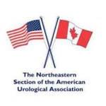The Northeastern Section of the American Urological Association (NSAUA), Inc.