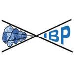 Institute for Brain Potential (IBP)