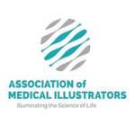 Association of Medical Illustrators (AMI)