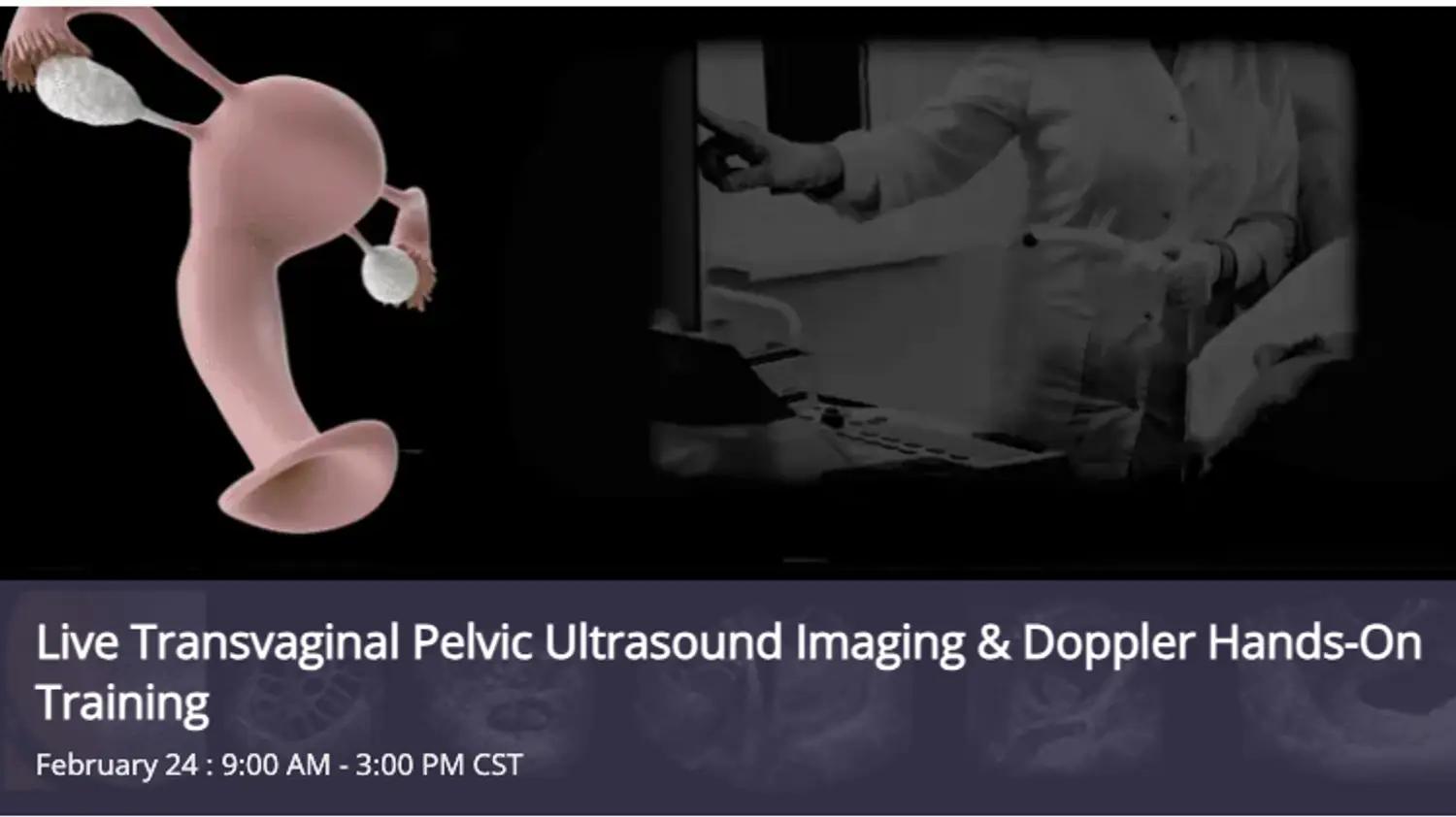Live Transvaginal Pelvic Ultrasound Imaging & Doppler Hands-On Training